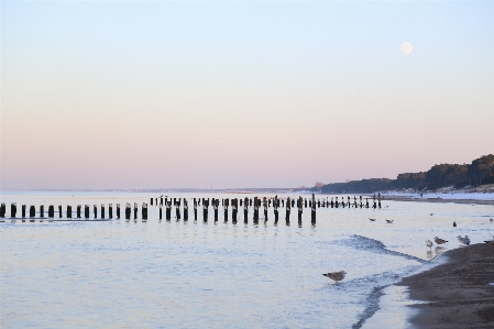 Beach landscape sea coast Photo