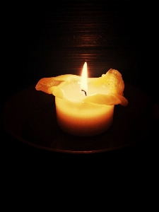 Light petal flame romantic Photo