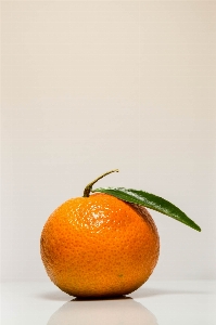 Plant fruit orange food Photo