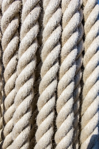 Sea rope string cable Photo