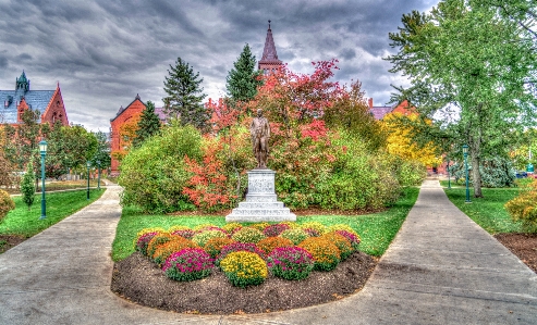 Landscape tree nature architecture Photo