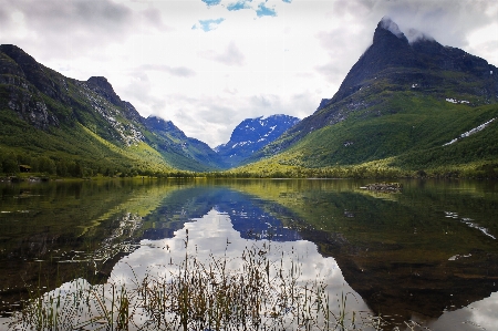 風景 水 自然 森 写真