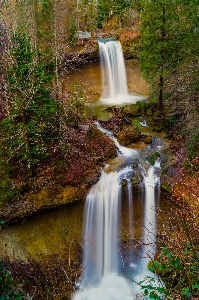 Landscape tree water nature Photo