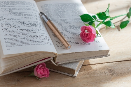 Writing book ring flower Photo