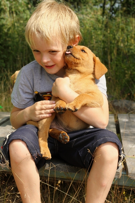 Menschen mädchen welpe hund