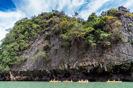 Foto Lanskap laut pesisir pohon