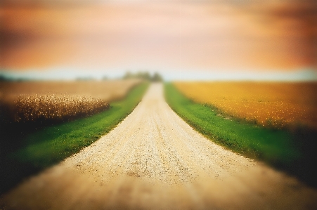 Landscape nature path grass Photo