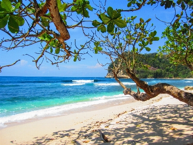 Beach landscape sea coast Photo