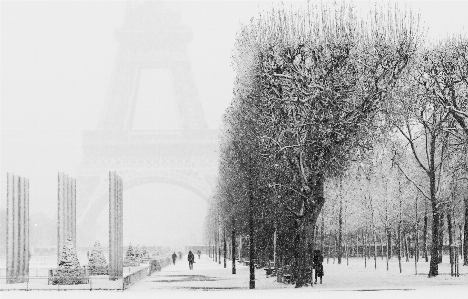 Photo Arbre neige froid hiver