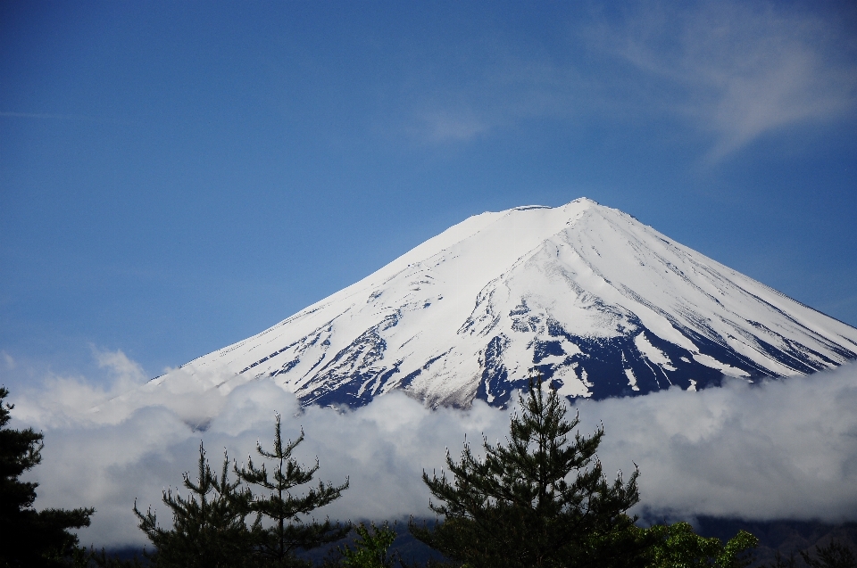 景观 自然 荒野 山