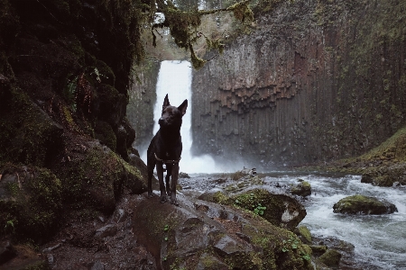 水 自然 rock 滝 写真