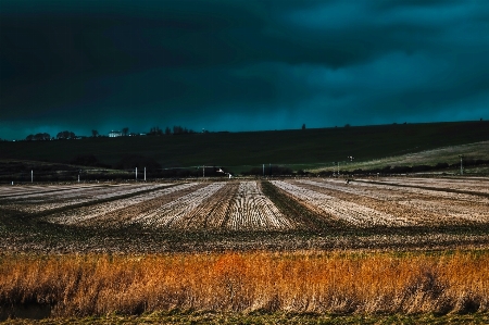 Landscape nature forest horizon Photo