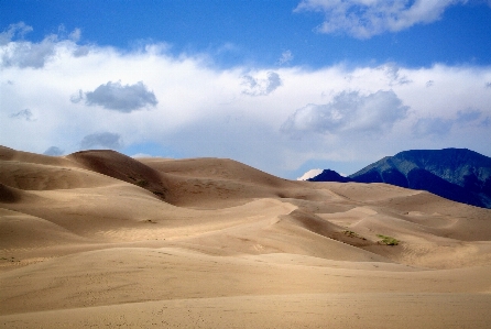 Landscape nature outdoor sand Photo