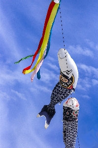 Foto Viento cometa azul deporte extremo
