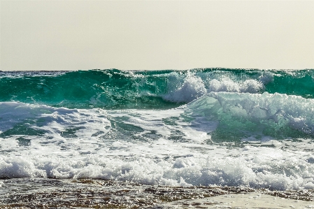 Beach sea coast water Photo