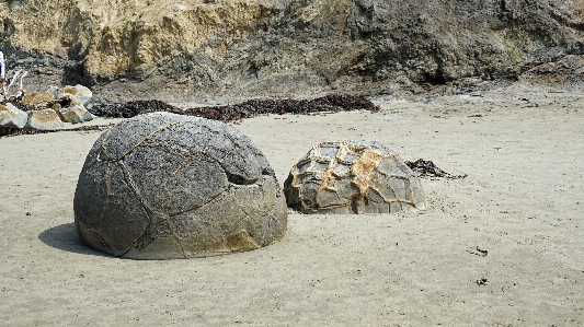 Beach coast sand rock Photo