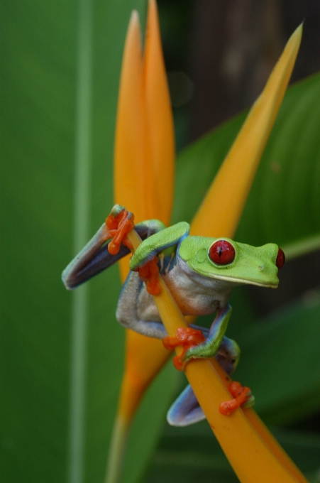 Natur wildnis
 anlage fotografie