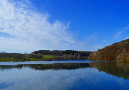 風景 木 水 自然 写真