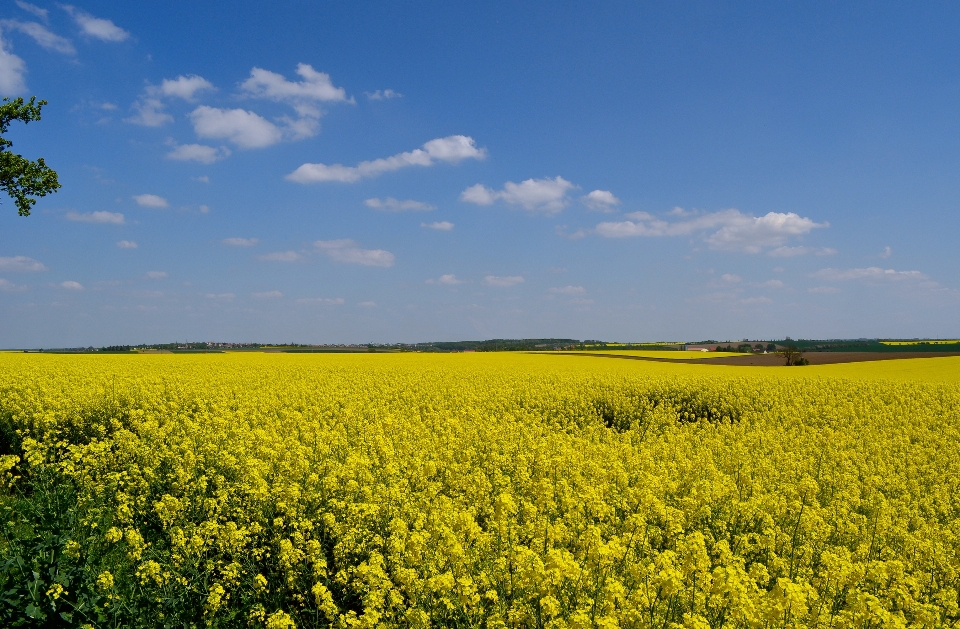 Paysage nature horizon bifurquer