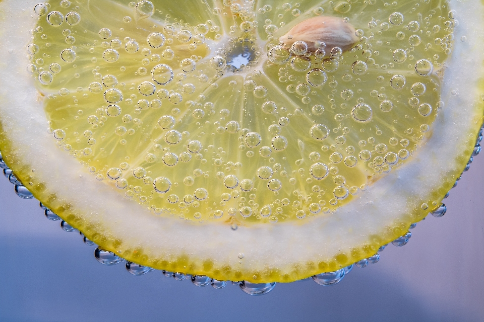 Water plant fruit leaf