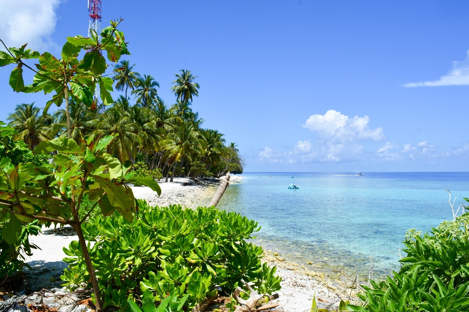 Plage mer côte océan