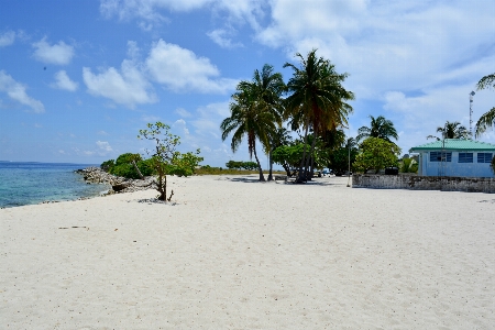 Strand meer küste sand Foto