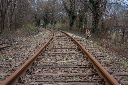 Forest outdoor technology track Photo