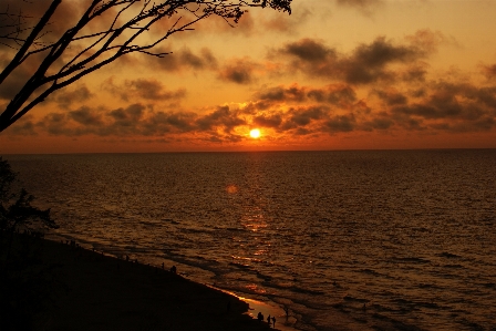 Beach sea coast ocean Photo