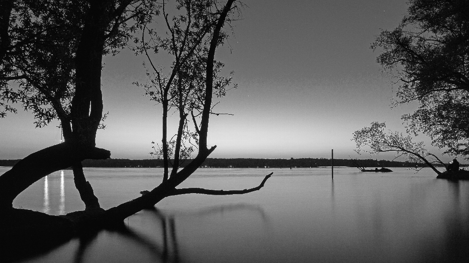 Pantai lanskap pohon air