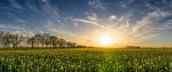 Landscape nature grass horizon Photo