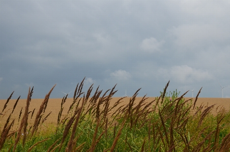 Landscape sea coast nature Photo