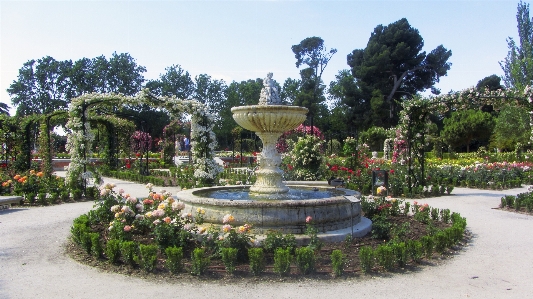 Foto Naturaleza flor palacio primavera