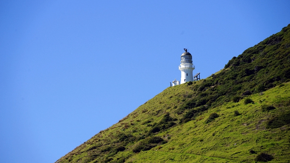 Meer küste natur berg