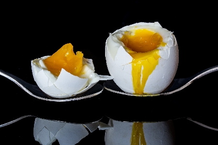 Plant fruit flower dish Photo