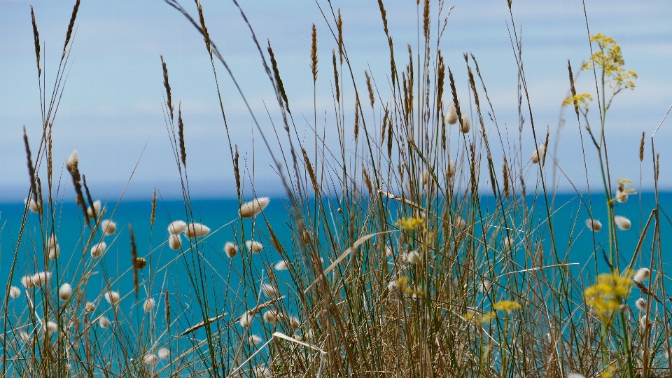 Beach landscape sea coast