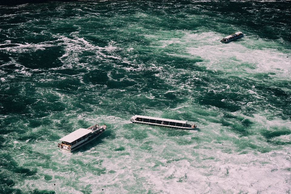 海 海岸 水 自然