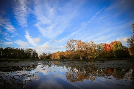 Landscape tree water nature Photo