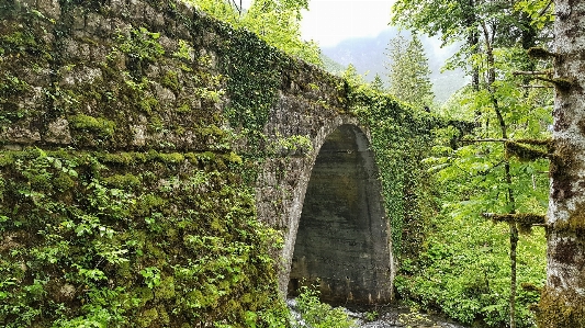 風景 自然 森 rock 写真