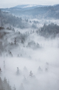 Foto Montaña nieve invierno nube