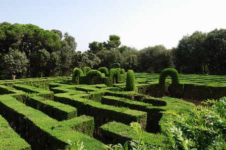 Landscape grass field lawn Photo