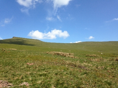 Landscape nature grass outdoor Photo