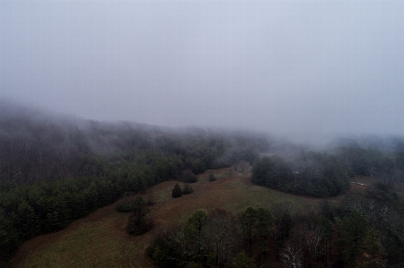 Foto Bosque desierto
 montaña nube