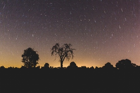 Horizon sky night morning Photo