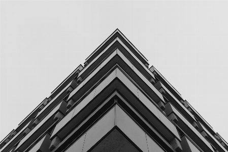 Foto En blanco y negro
 arquitectura ventana