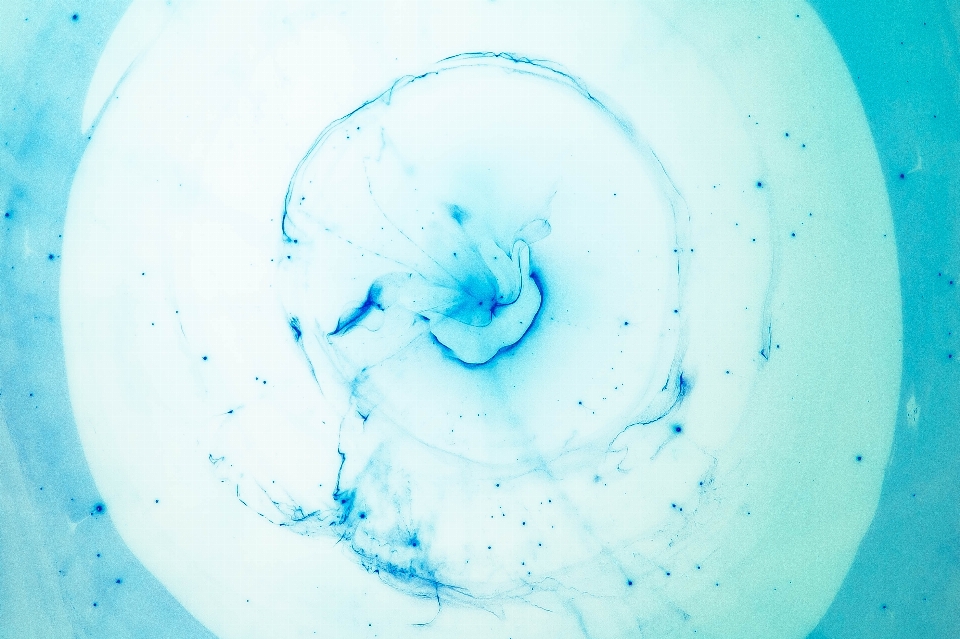 Water blue circle swirl