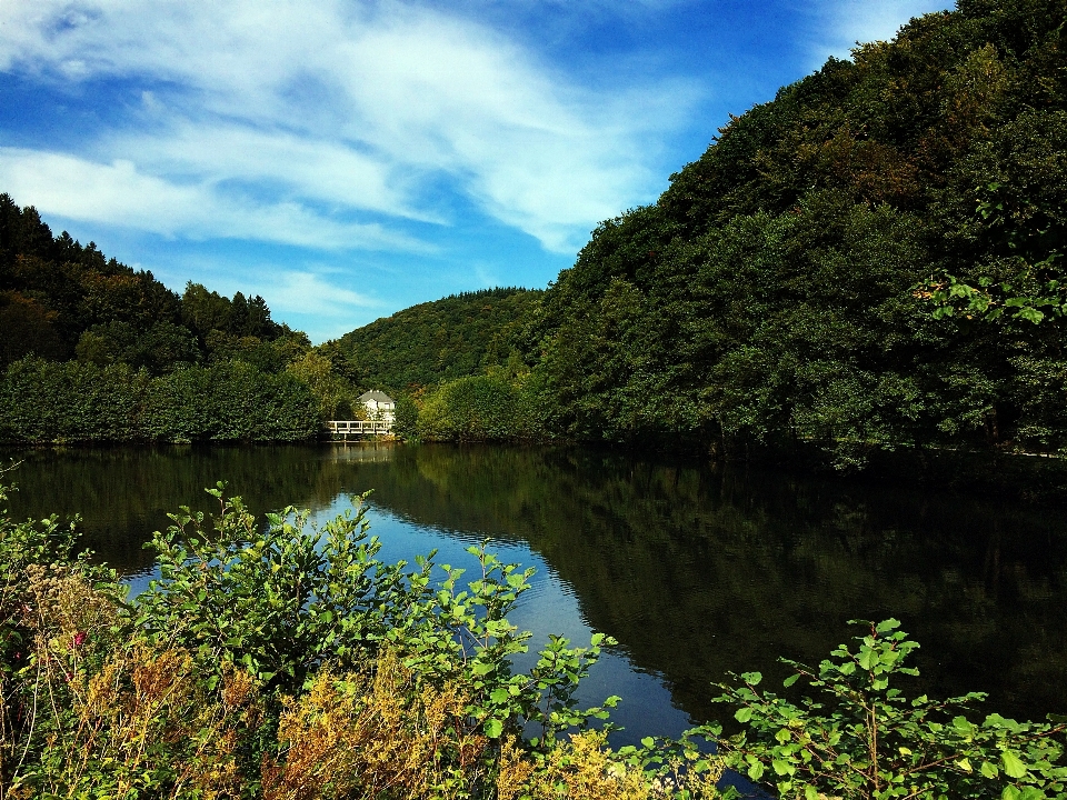 Krajobraz drzewo woda natura