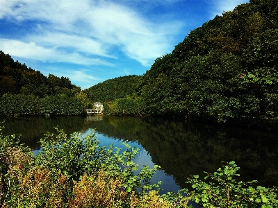 Landscape tree water nature Photo