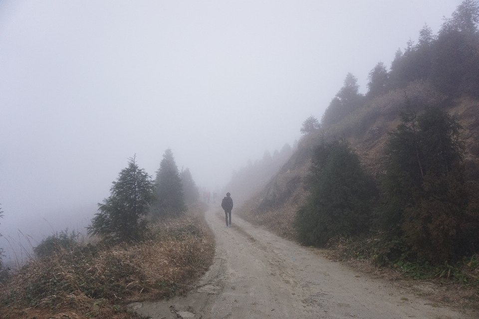 Landscape path mountain cold