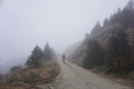 Foto Paisagem caminho montanha frio