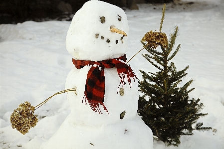 雪 寒い 冬 白 写真